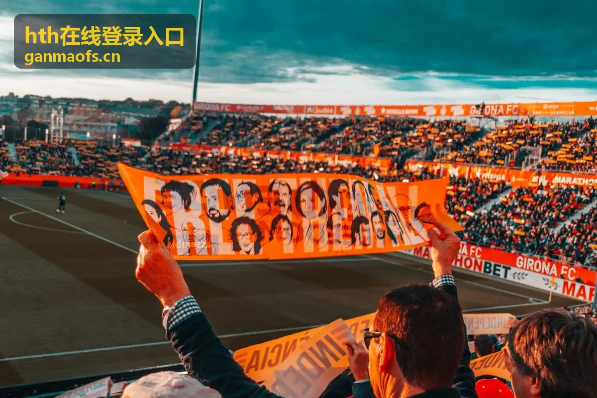 hth在线登录入口指引中的访问步骤展示