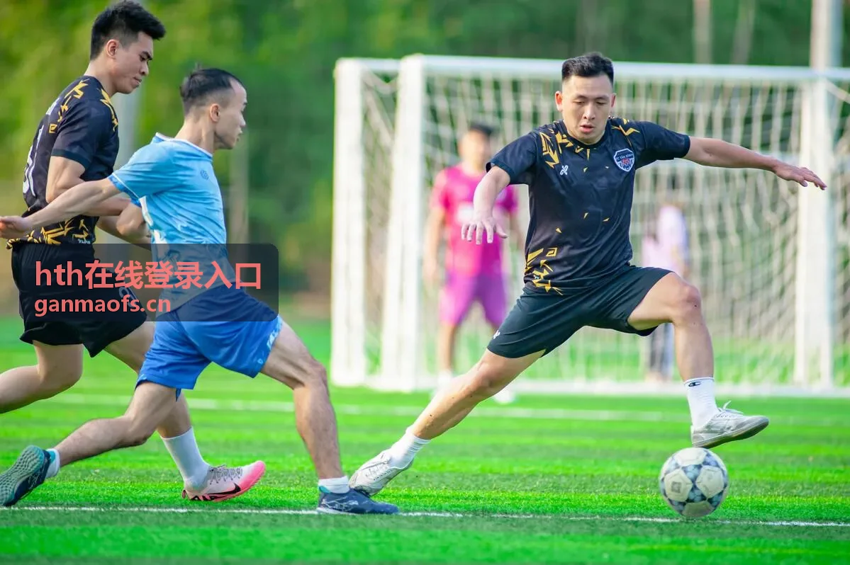 hth在线登录入口账号安全设置要点