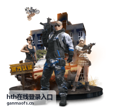 hth在线登录入口入口协助与套餐配图